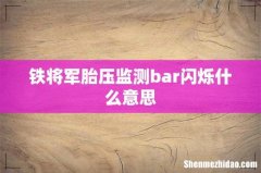 铁将军胎压监测bar闪烁什么意思