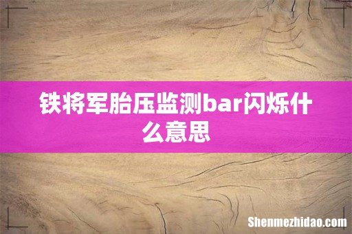 铁将军胎压监测bar闪烁什么意思