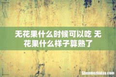无花果什么时候可以吃 无花果什么样子算熟了