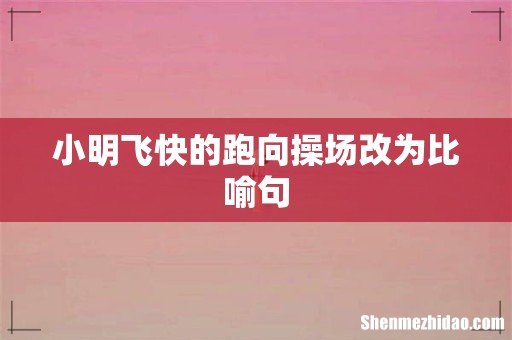 小明飞快的跑向操场改为比喻句