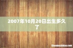 2007年10月20日出生多久了