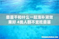 桑葚干和什么一起泡补肾效果好 4类人群不宜吃桑葚
