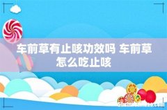 车前草有止咳功效吗 车前草怎么吃止咳