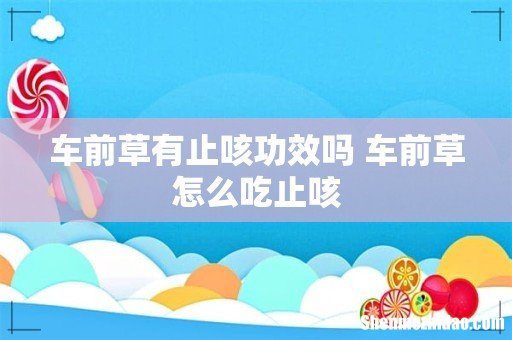 车前草有止咳功效吗 车前草怎么吃止咳