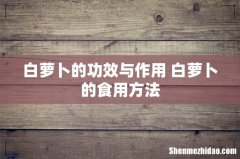 白萝卜的功效与作用 白萝卜的食用方法