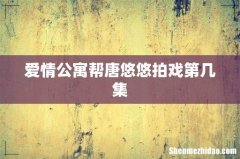 爱情公寓帮唐悠悠拍戏第几集