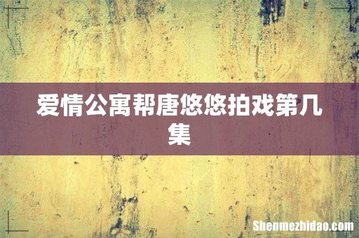 爱情公寓帮唐悠悠拍戏第几集