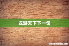 龙游天下下一句