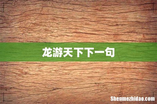 龙游天下下一句