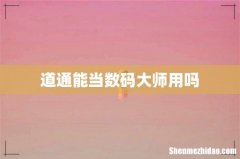 道通能当数码大师用吗