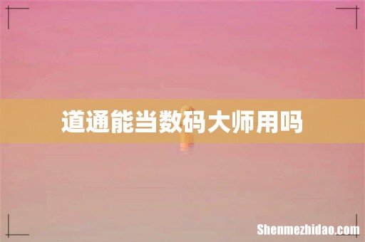 道通能当数码大师用吗