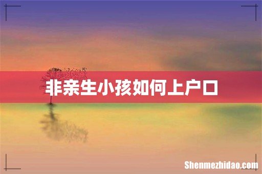 非亲生小孩如何上户口