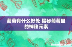 葡萄有什么好处 揭秘葡萄里的神秘元素
