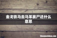 金戈铁马去马革裹尸还什么意思