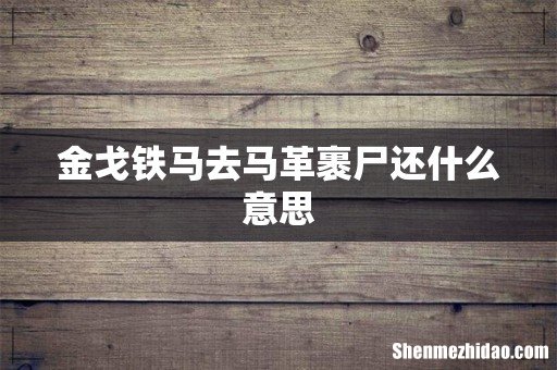 金戈铁马去马革裹尸还什么意思