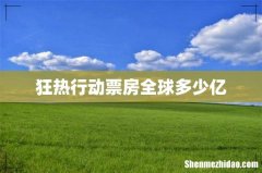 狂热行动票房全球多少亿