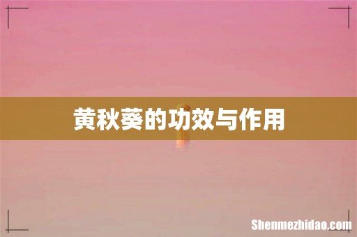 黄秋葵的功效与作用