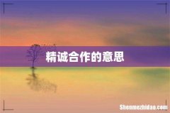 精诚合作的意思