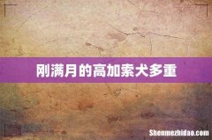 刚满月的高加索犬多重
