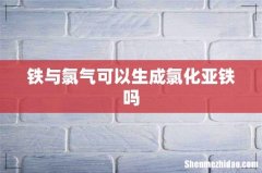 铁与氯气可以生成氯化亚铁吗