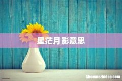 星茫月影意思