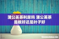 蒲公英茶利尿吗 蒲公英茶是根好还是叶子好