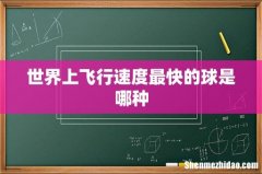 世界上飞行速度最快的球是哪种