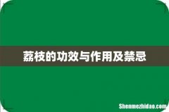 荔枝的功效与作用及禁忌