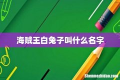 海贼王白兔子叫什么名字