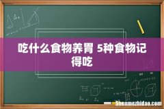 吃什么食物养胃 5种食物记得吃