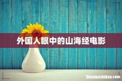 外国人眼中的山海经电影