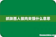 抓陕西人做肉夹馍什么意思