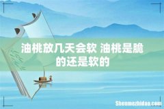 油桃放几天会软 油桃是脆的还是软的