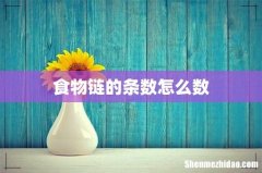 食物链的条数怎么数