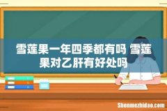 雪莲果一年四季都有吗 雪莲果对乙肝有好处吗