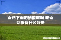 香菇下面的柄能吃吗 吃香菇根有什么好处