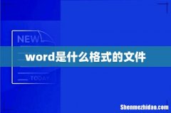 word是什么格式的文件