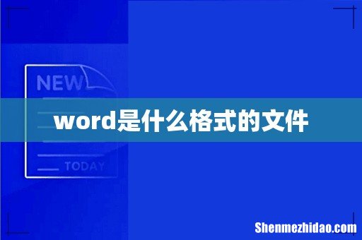 word是什么格式的文件