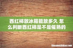 西红柿放冰箱能放多久 怎么判断西红柿是不是催熟的