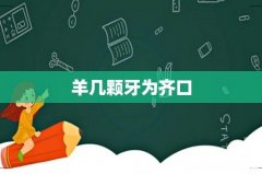羊几颗牙为齐口