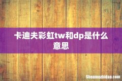 卡迪夫彩虹tw和dp是什么意思