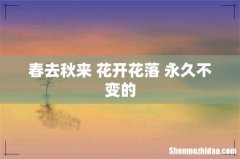 春去秋来 花开花落 永久不变的