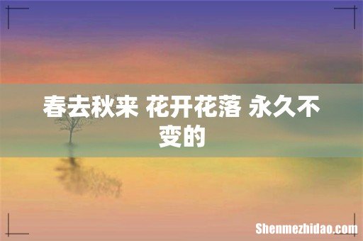 春去秋来 花开花落 永久不变的