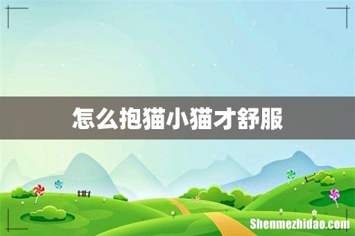 怎么抱猫小猫才舒服