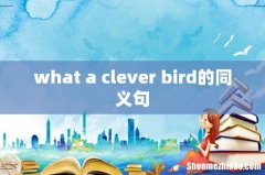 what a clever bird的同义句