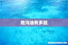 地沟油有多脏