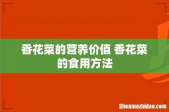 香花菜的营养价值 香花菜的食用方法
