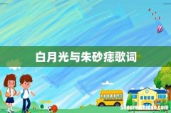 白月光与朱砂痣歌词