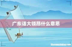 广东话大领昂什么意思