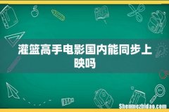 灌篮高手电影国内能同步上映吗